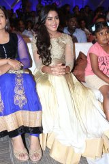 Dikkulu Choodaku Ramayya Movie Audio Launch